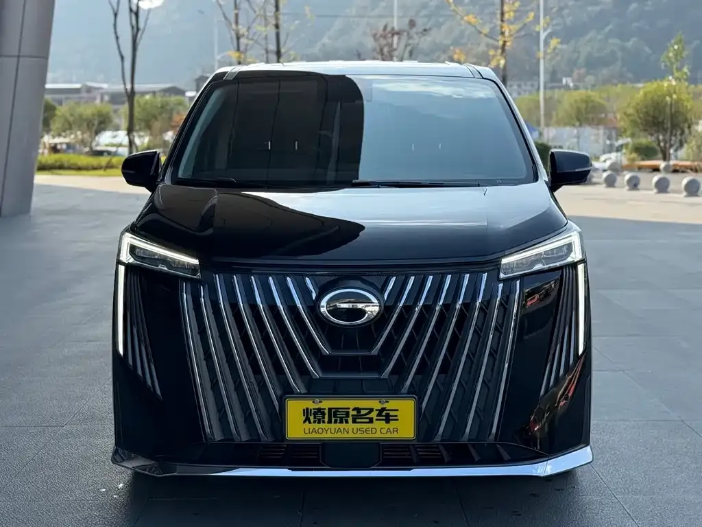 GAC Motor Trumpchi M8 2024 из CN, фото 10