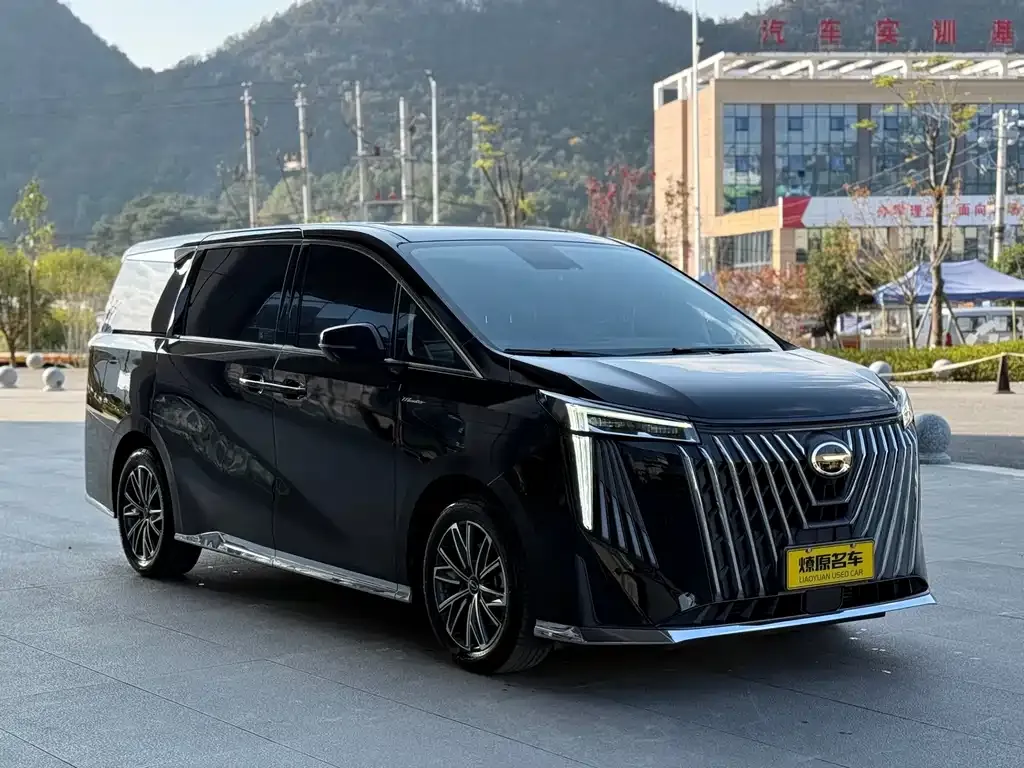 GAC Motor Trumpchi M8 2024 из CN, фото 8