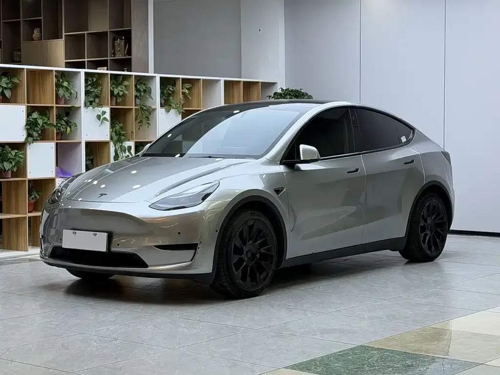 Tesla Model Y 2022 из CN, фото 1