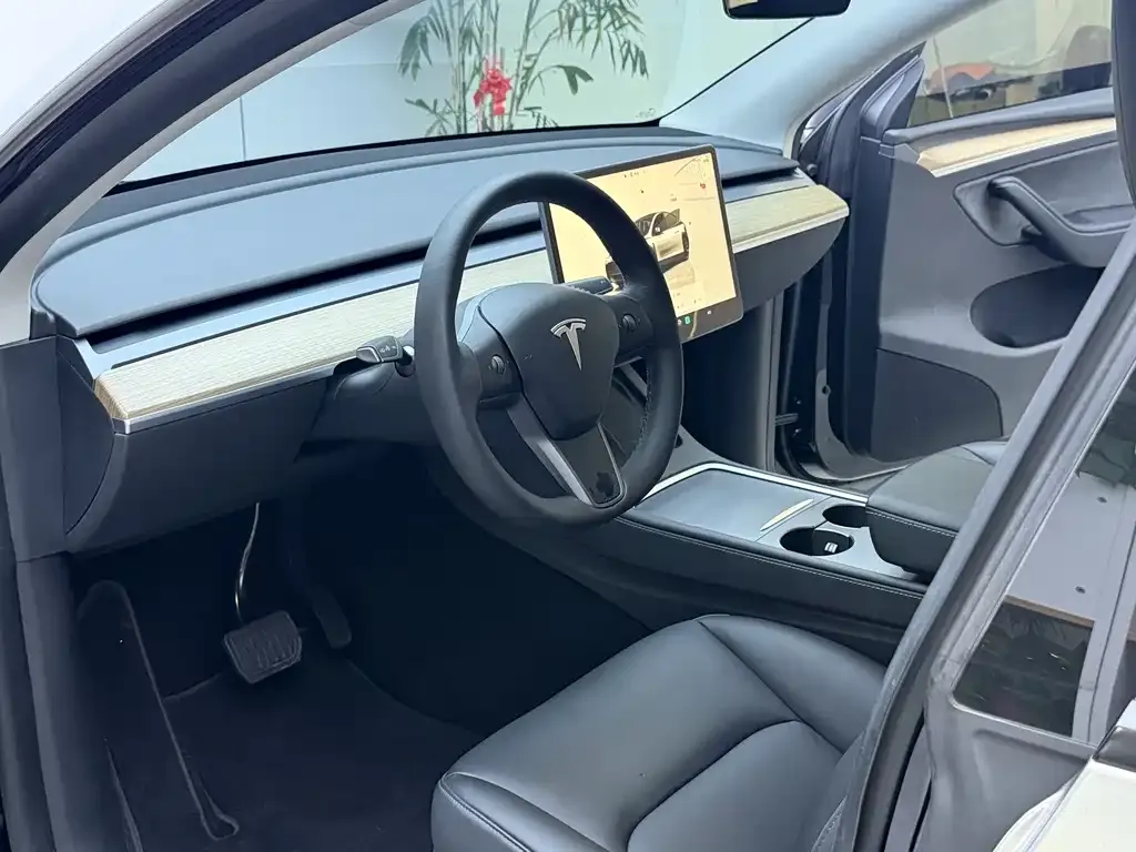 Tesla Model Y 2022 из CN, фото 10