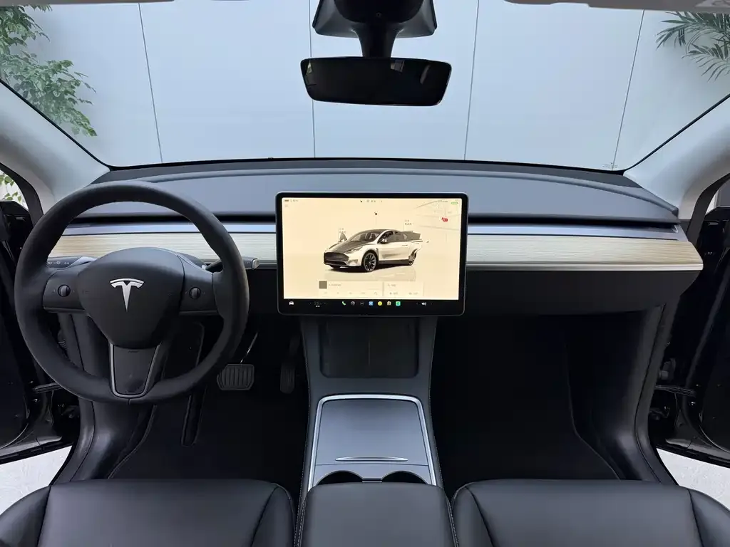Tesla Model Y 2022 из CN, фото 6
