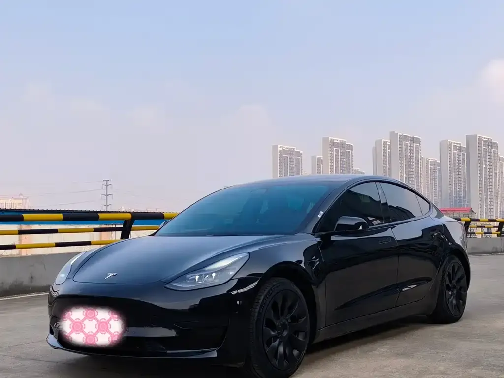 Tesla Model 3 2023 из CN, фото 1