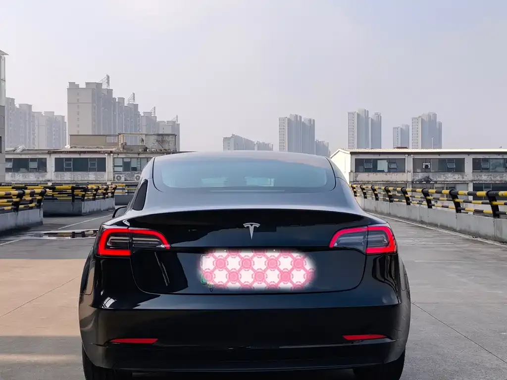 Tesla Model 3 2023 из CN, фото 6