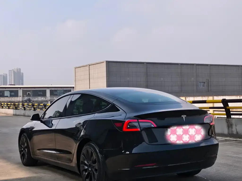 Tesla Model 3 2023 из CN, фото 3