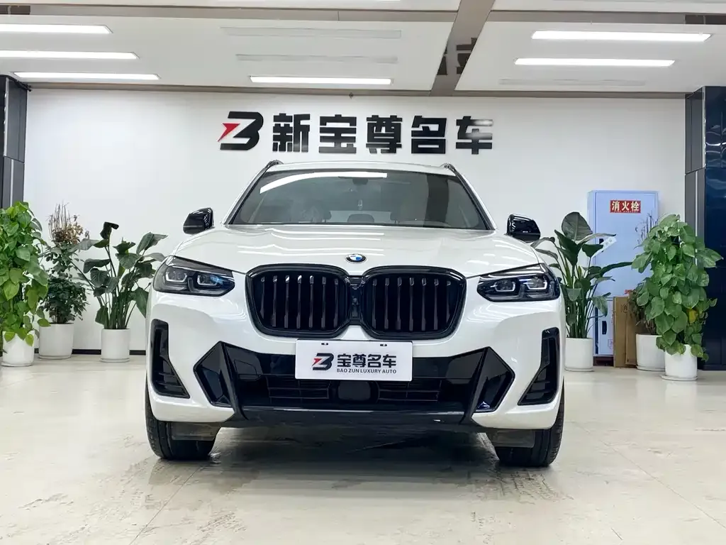 BMW X3 2022 из CN, фото 7