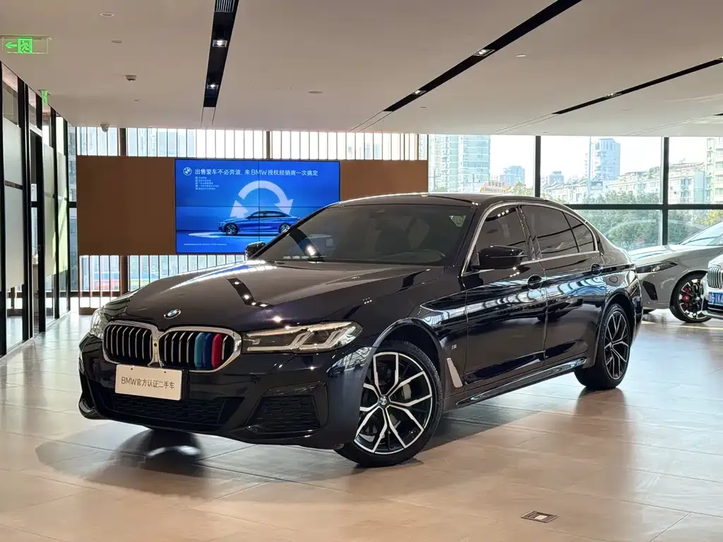 BMW 5 Series 2024 из CN, фото 1