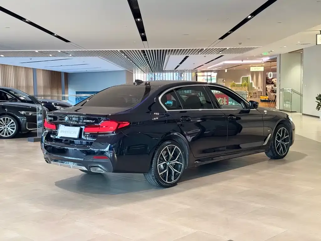 BMW 5 Series 2024 из CN, фото 5