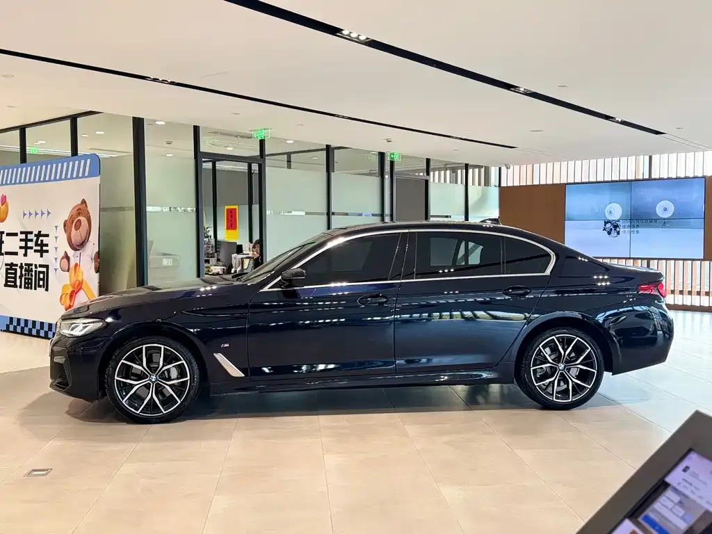 BMW 5 Series 2024 из CN, фото 8
