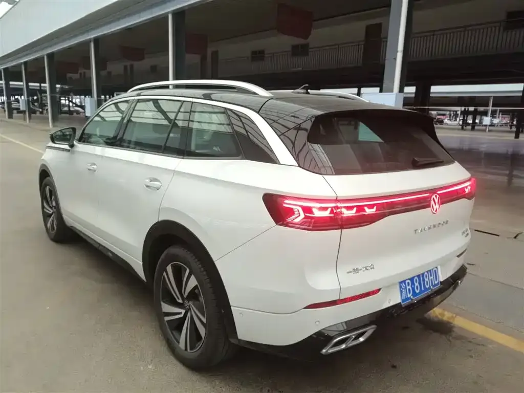 Volkswagen Tavendor 2024 из CN, фото 5