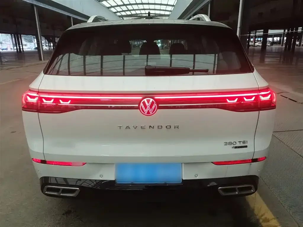 Volkswagen Tavendor 2024 из CN, фото 4