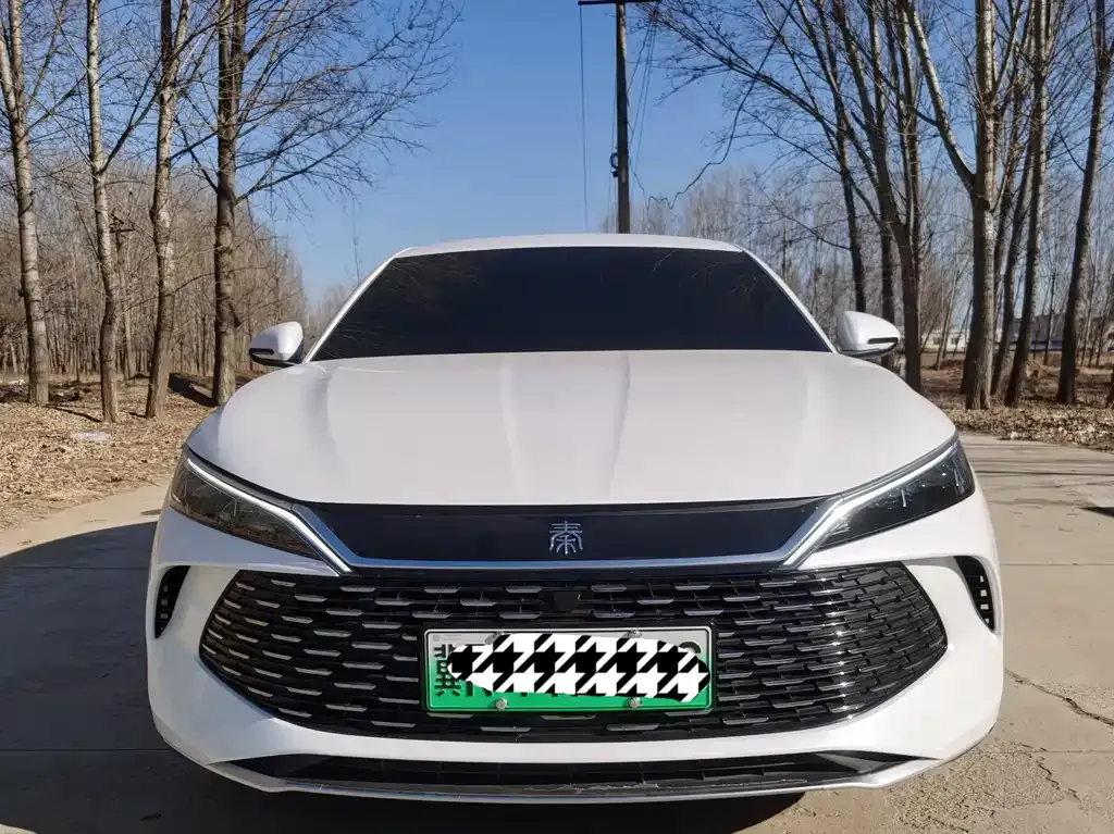 BYD Qin L 2025 из CN, фото 9