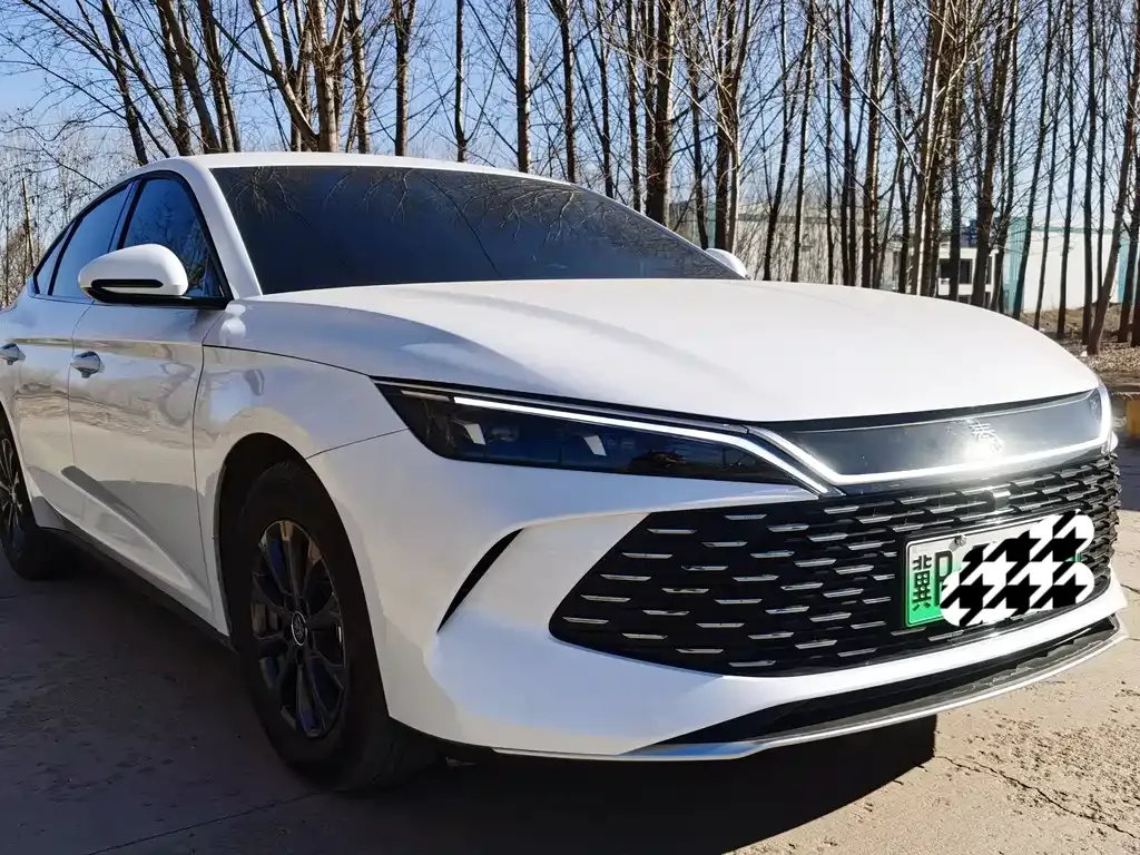 BYD Qin L 2025 из CN, фото 10