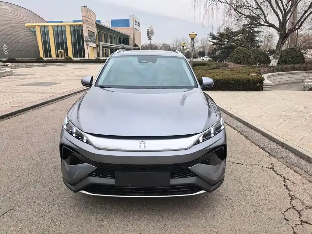 BYD Pro New Energy 2024 из CN, фото 1