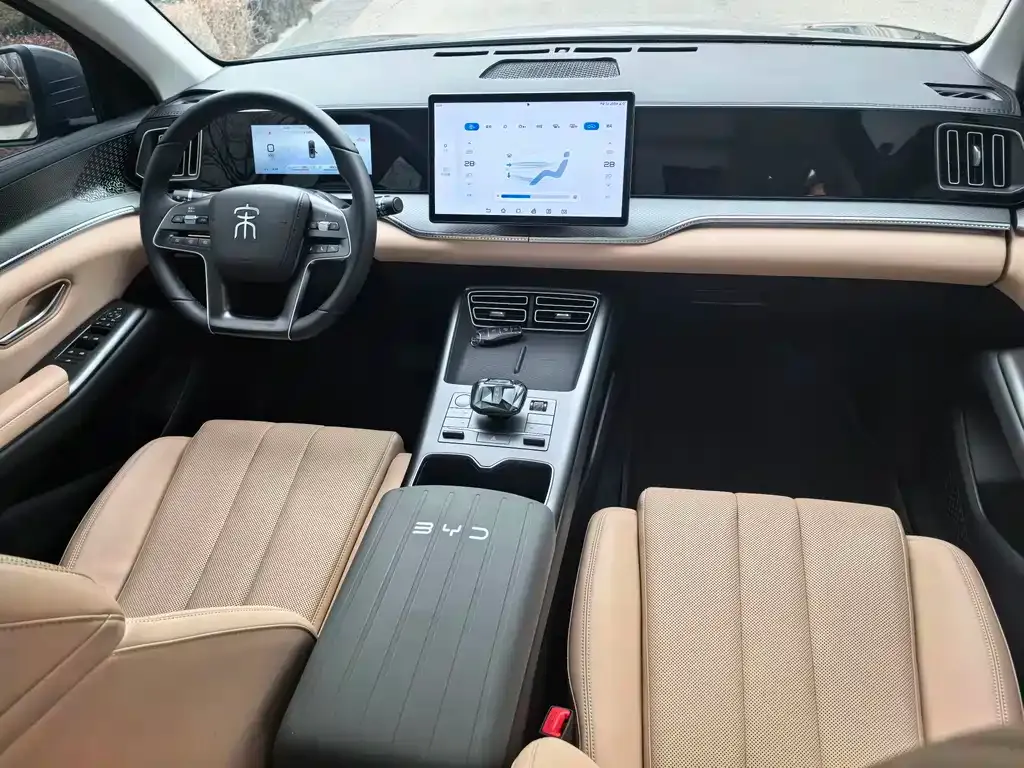 BYD Pro New Energy 2024 из CN, фото 7