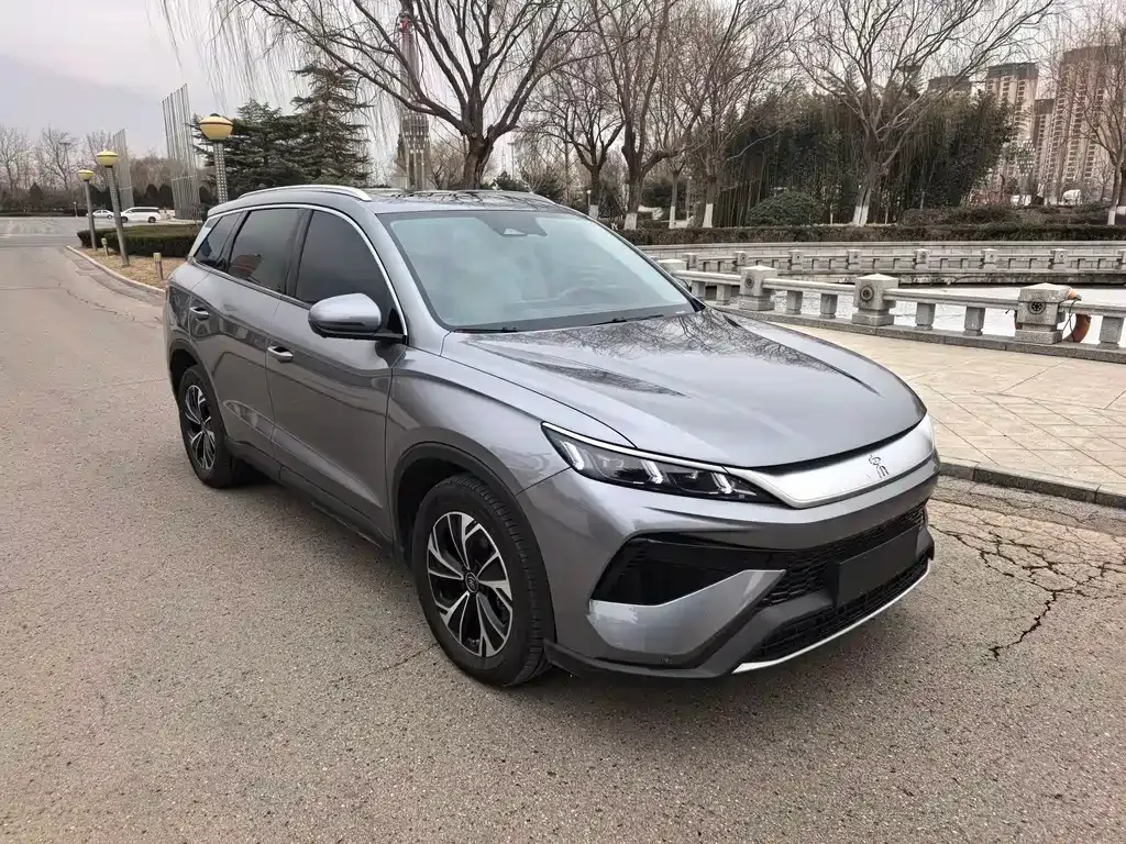 BYD Pro New Energy 2024 из CN, фото 10