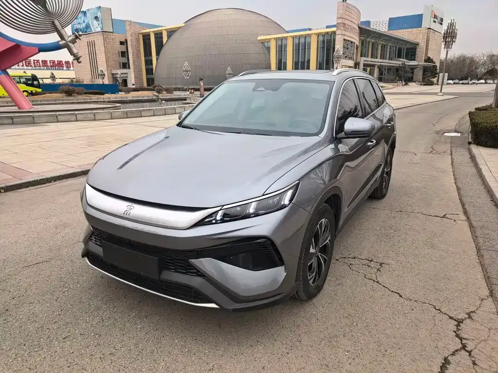 BYD Pro New Energy 2024 из CN, фото 5