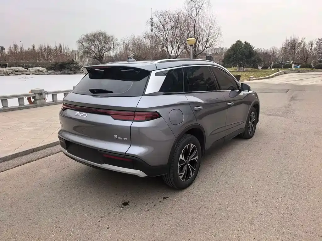 BYD Pro New Energy 2024 из CN, фото 2