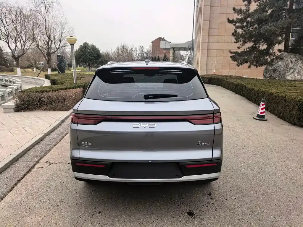 BYD Pro New Energy 2024 из CN, фото 4
