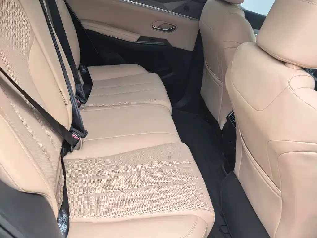 BYD Pro New Energy 2024 из CN, фото 6