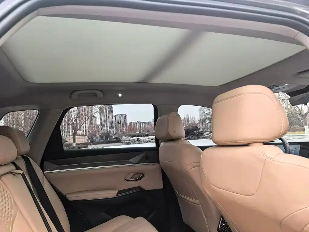 BYD Pro New Energy 2024 из CN, фото 3
