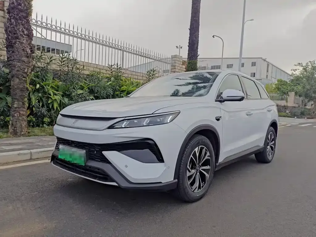 BYD Pro New Energy — фото 1