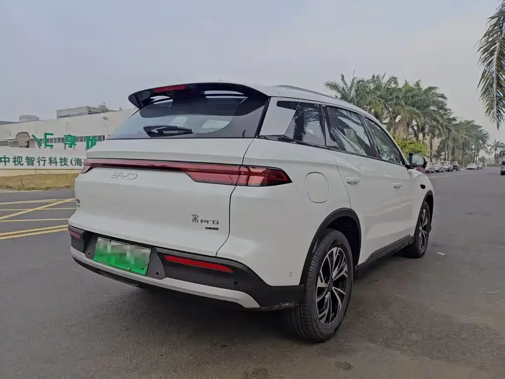 BYD Pro New Energy — фото 9