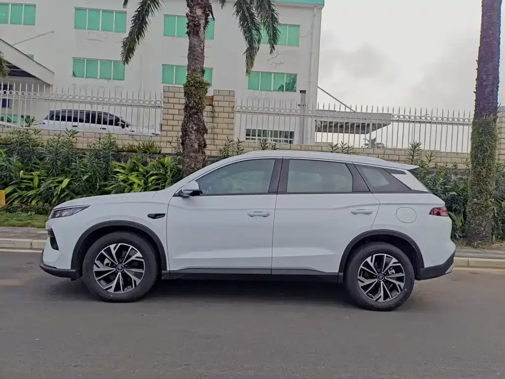 BYD Pro New Energy — фото 3