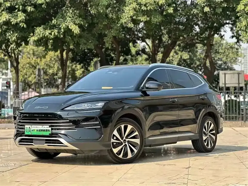 BYD PLUS New Energy 2024 из CN, фото 1
