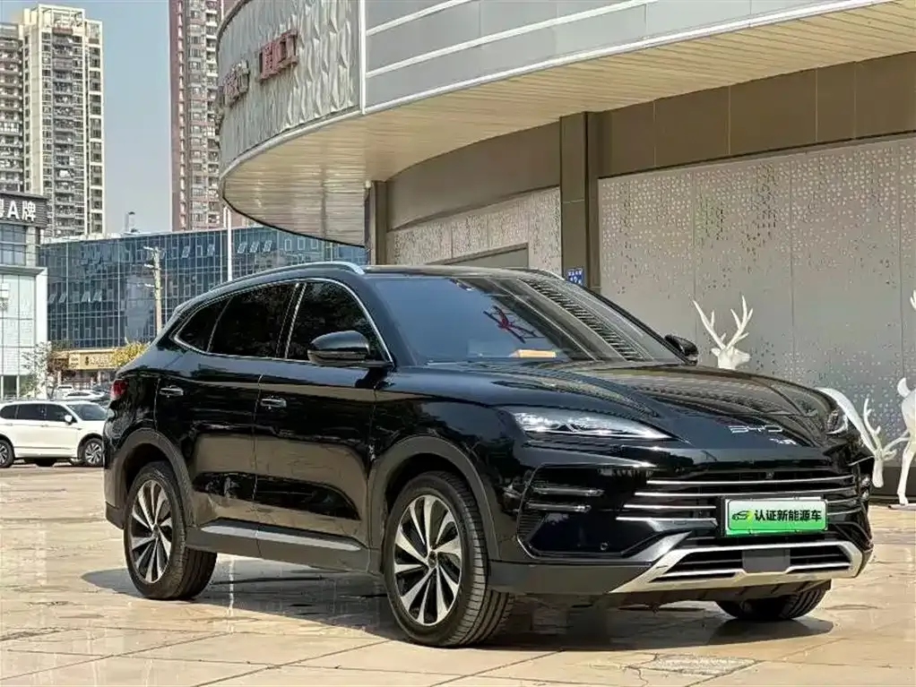 BYD PLUS New Energy 2024 из CN, фото 3