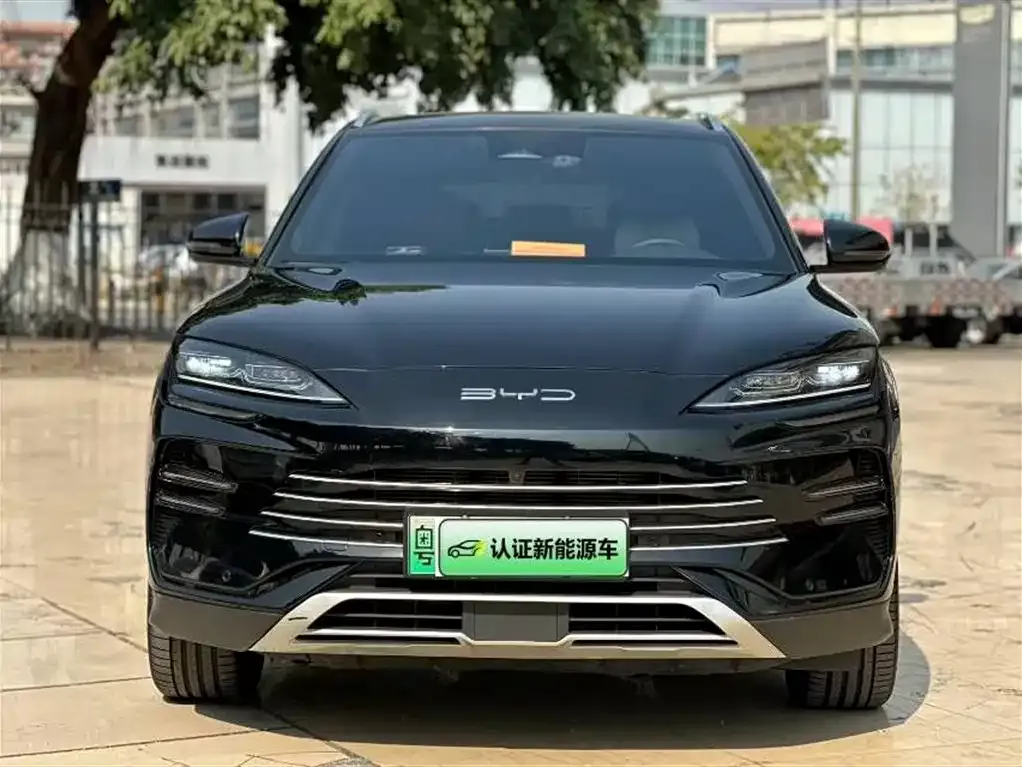 BYD PLUS New Energy 2024 из CN, фото 5