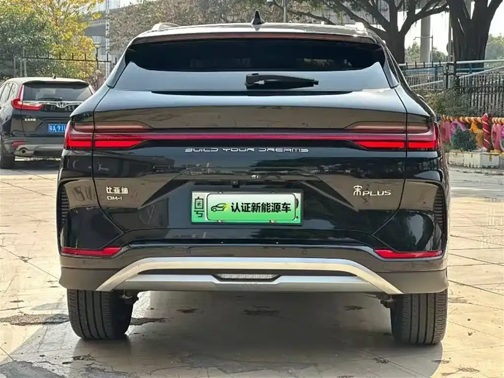 BYD PLUS New Energy 2024 из CN, фото 4