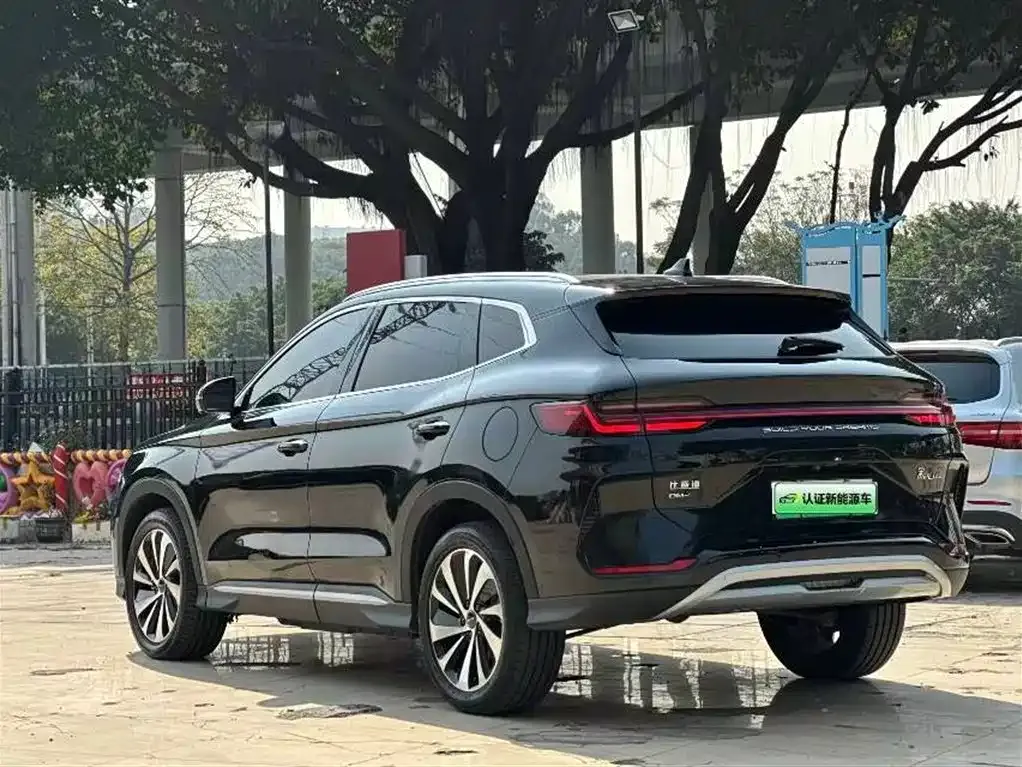 BYD PLUS New Energy 2024 из CN, фото 7