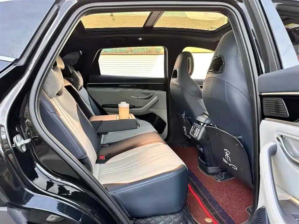 BYD PLUS New Energy 2024 из CN, фото 8