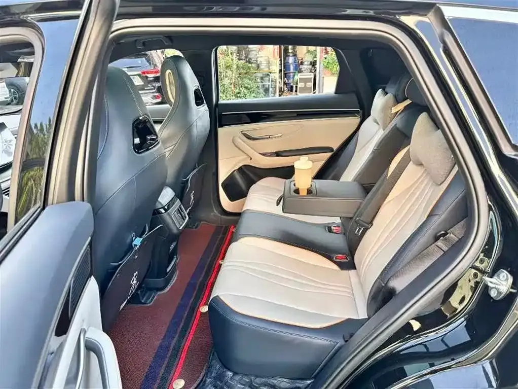 BYD PLUS New Energy 2024 из CN, фото 6