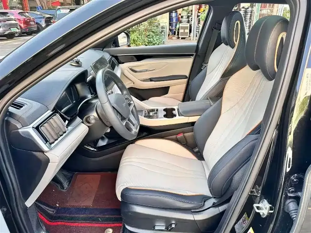BYD PLUS New Energy 2024 из CN, фото 10