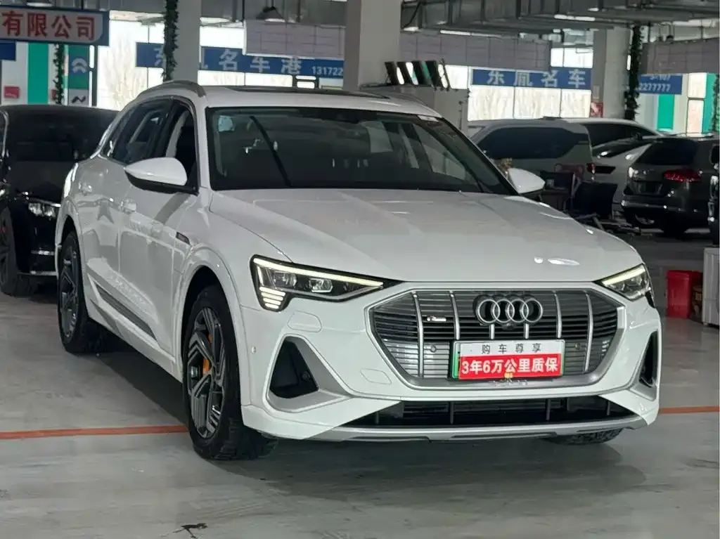 Audi e-tron 2023 из CN, фото 2