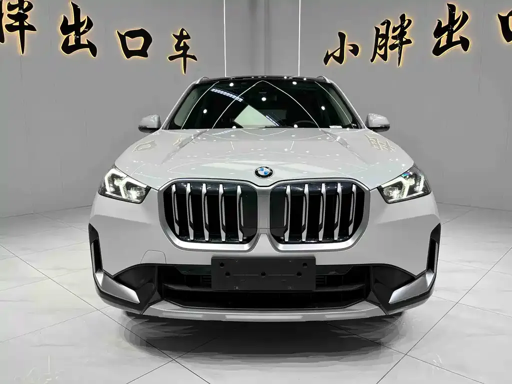 BMW X1 2023 из CN, фото 6