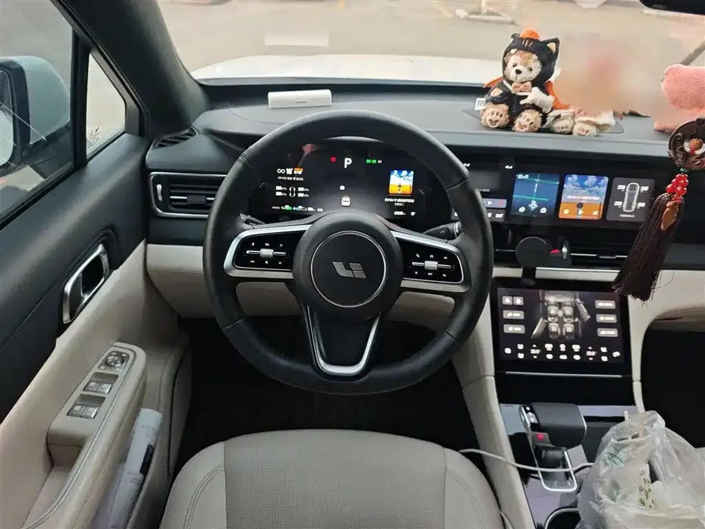 Li Auto ONE 2021 из CN, фото 9