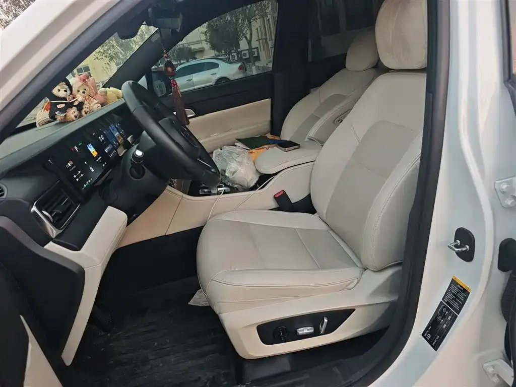 Li Auto ONE 2021 из CN, фото 10