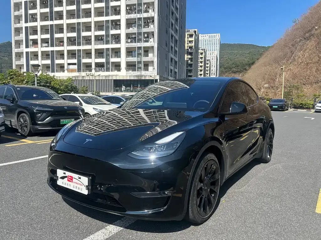 Tesla Model Y 2021 из CN, фото 1