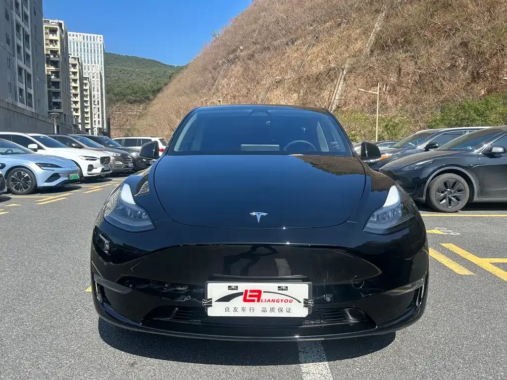 Tesla Model Y 2021 из CN, фото 10