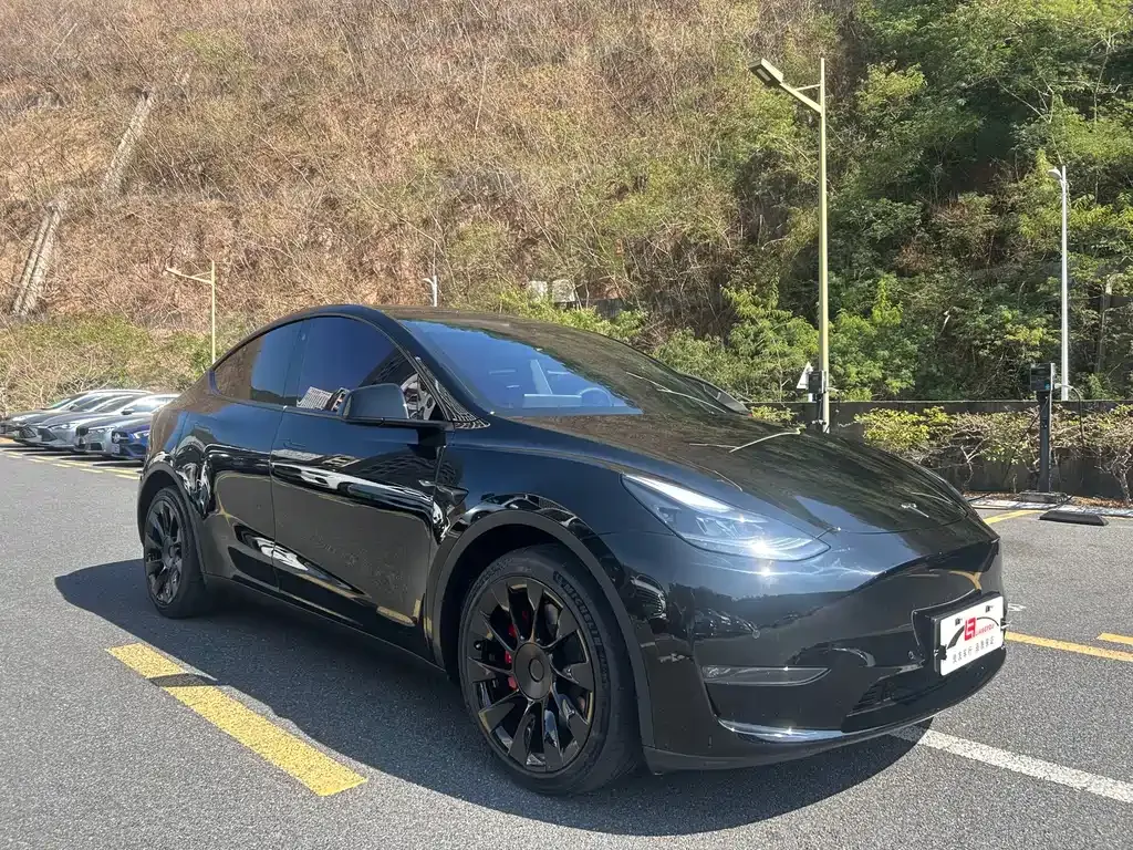 Tesla Model Y 2021 из CN, фото 9
