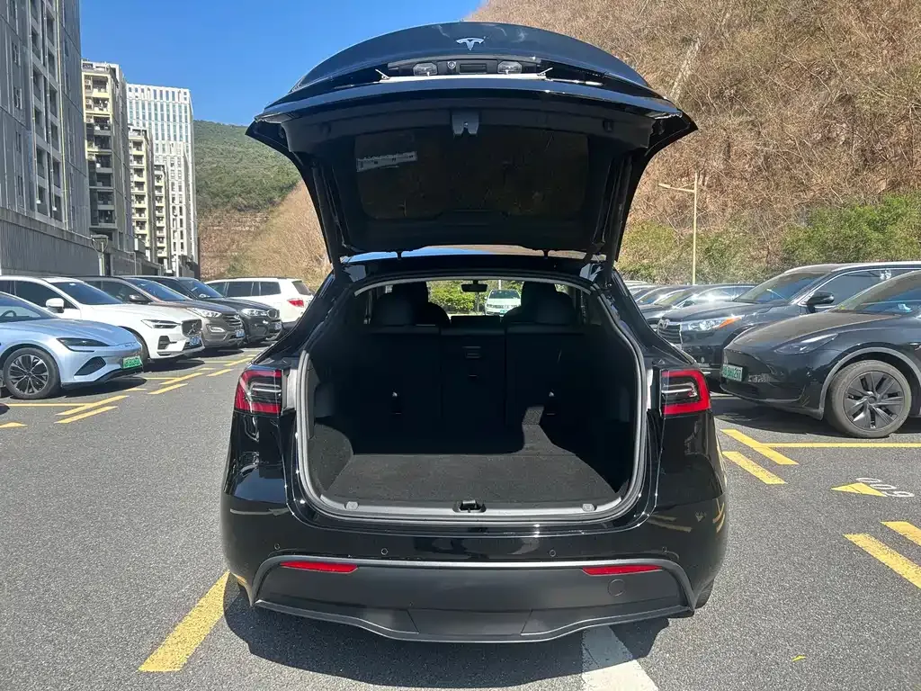 Tesla Model Y 2021 из CN, фото 6