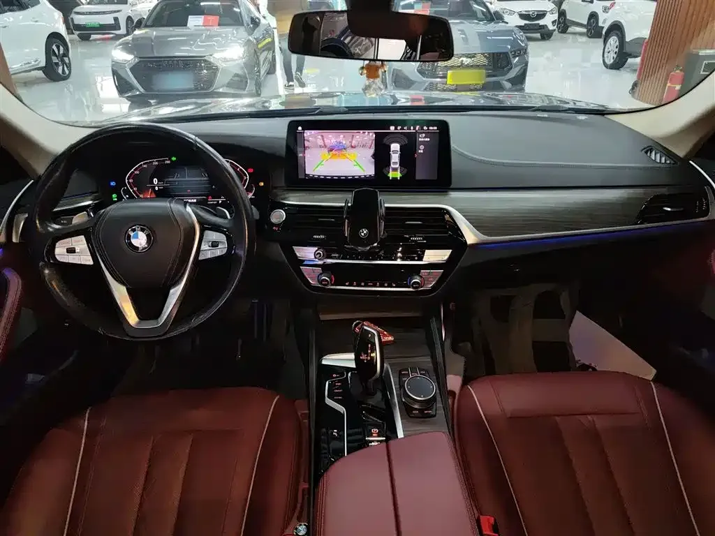 BMW 5 Series 2021 из CN, фото 4