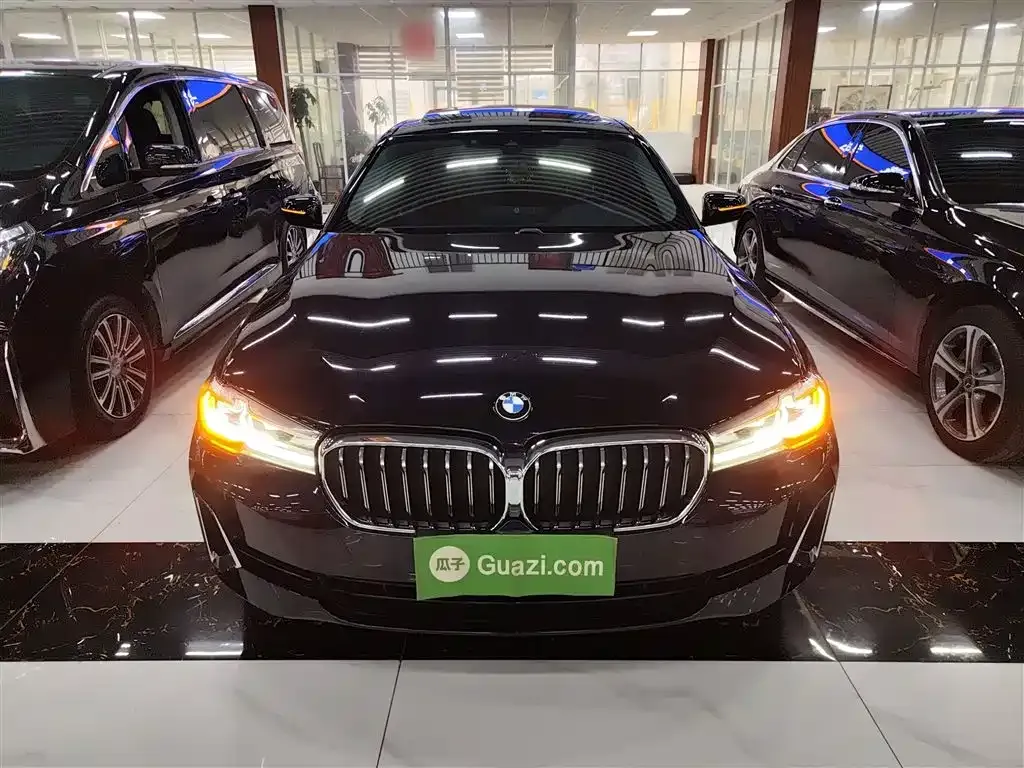 BMW 5 Series 2021 из CN, фото 9