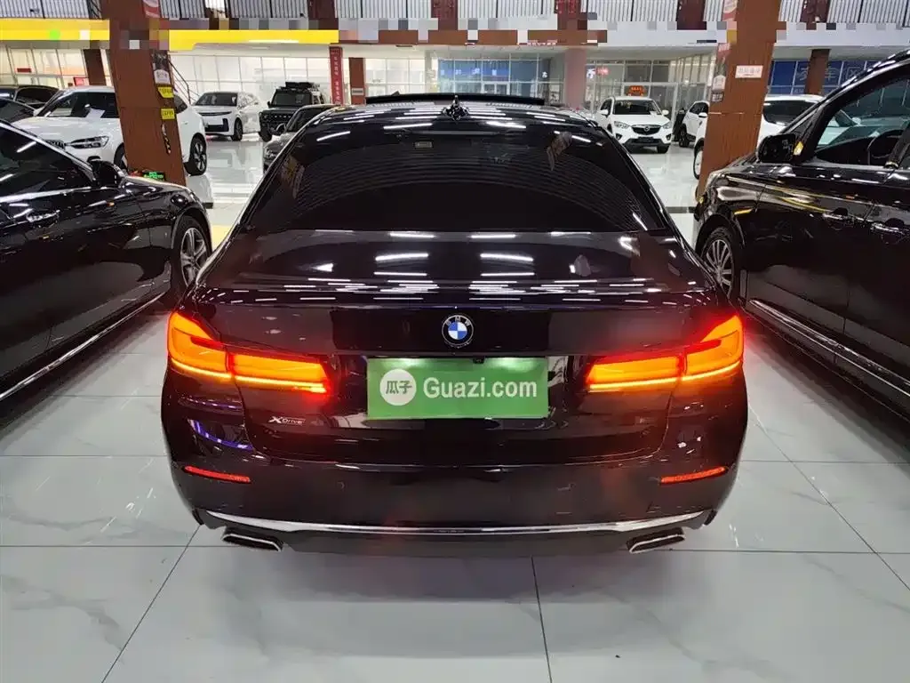 BMW 5 Series 2021 из CN, фото 7