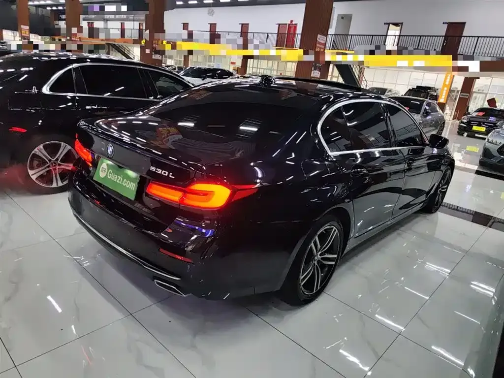 BMW 5 Series 2021 из CN, фото 8