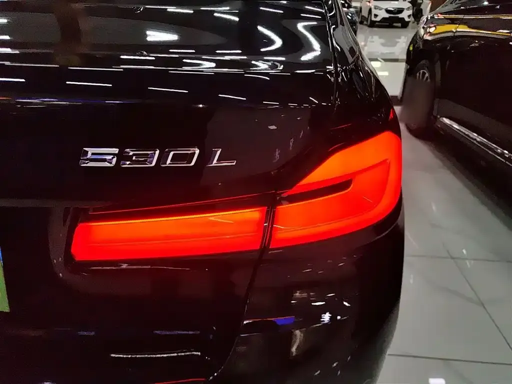 BMW 5 Series 2021 из CN, фото 6