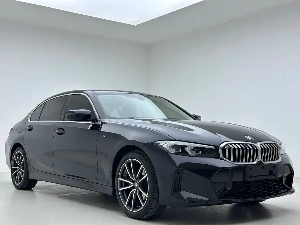 BMW 3 Series 2022 из CN, фото 7
