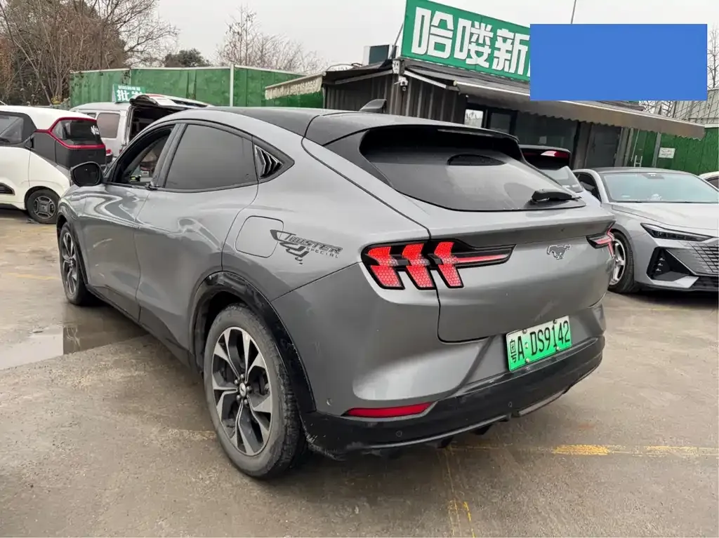 Ford Mustang Mach-E 2023 из CN, фото 9